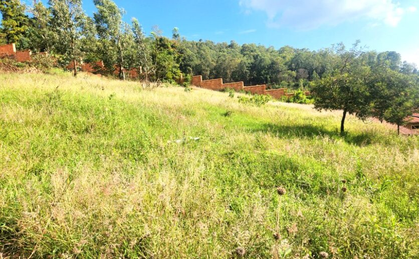 03-rebero land for sale plut properties (3)