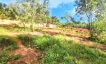 09-rebero land for sale plut properties (9)