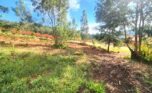 10-rebero land for sale plut properties (10)