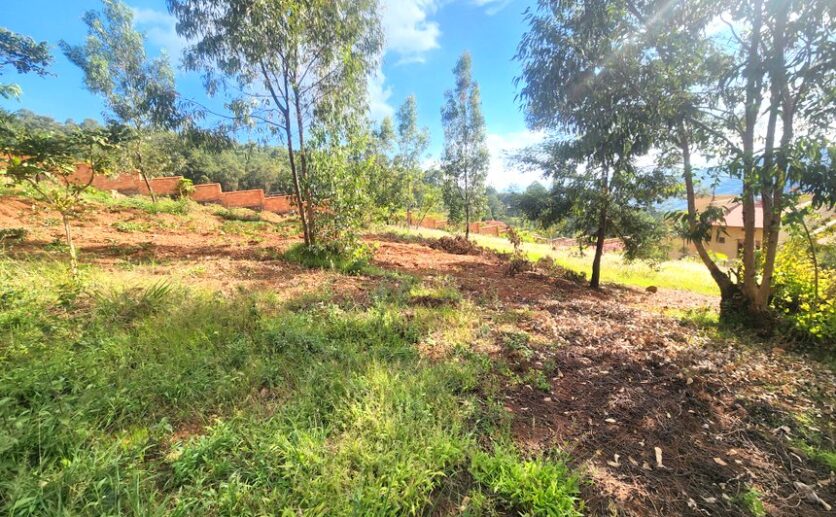 10-rebero land for sale plut properties (10)