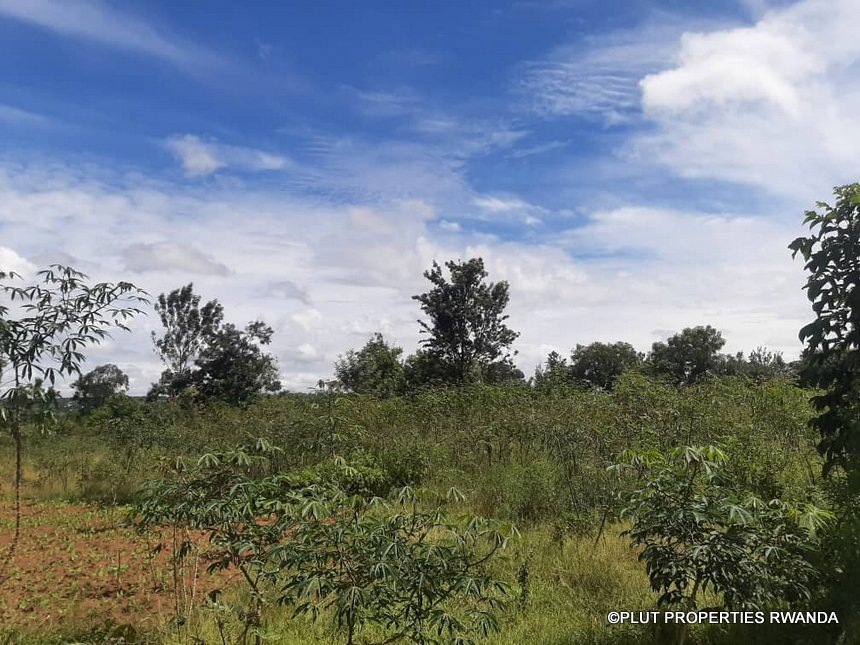 Agricultural land for sale in Bugesera.