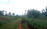 buy land in Rwamagana (2)