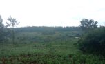buy land in Rwamagana (3)