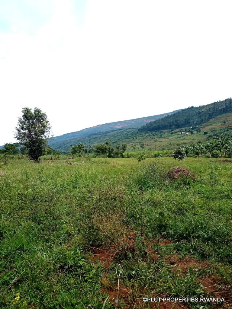 Buy land in Rwamagana.