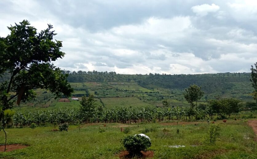 buy land in Rwamagana (7)