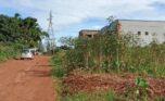 land for sale in rusororo (1)