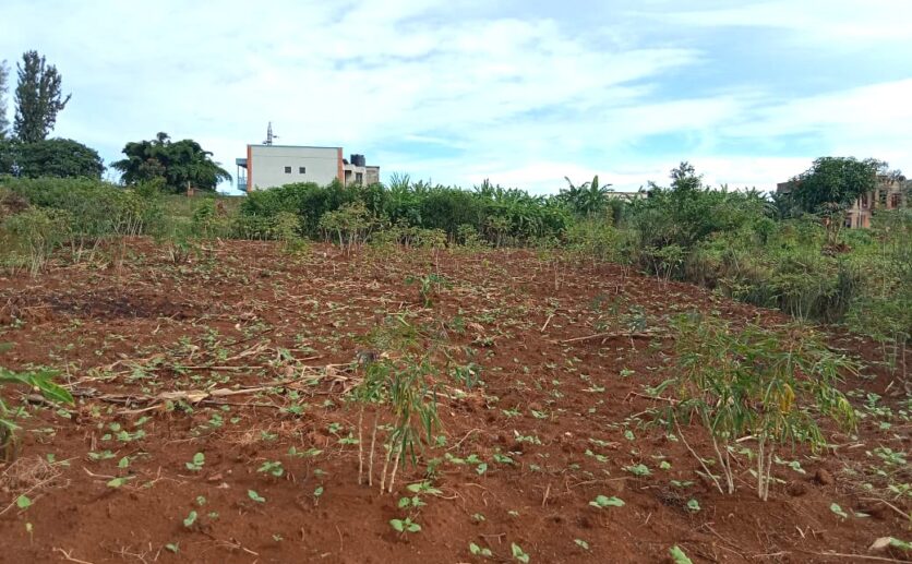 land for sale in rusororo (4)