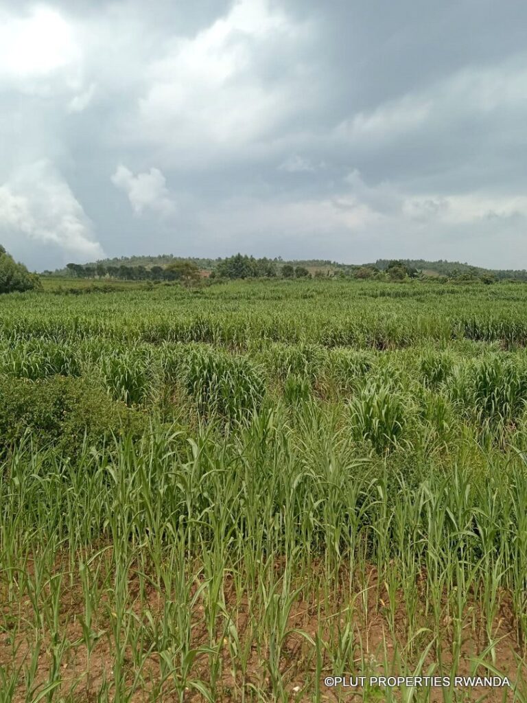 Land for sale in Rwamagana.