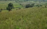 land for sale in rwamagana (2)
