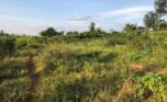 Residential plots for sale in Nyamata Bugesera (1)
