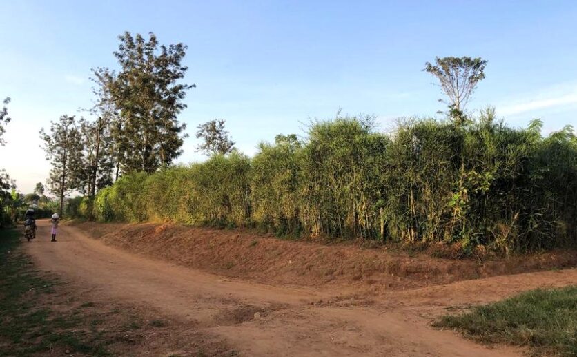 Residential plots for sale in Nyamata Bugesera (2)