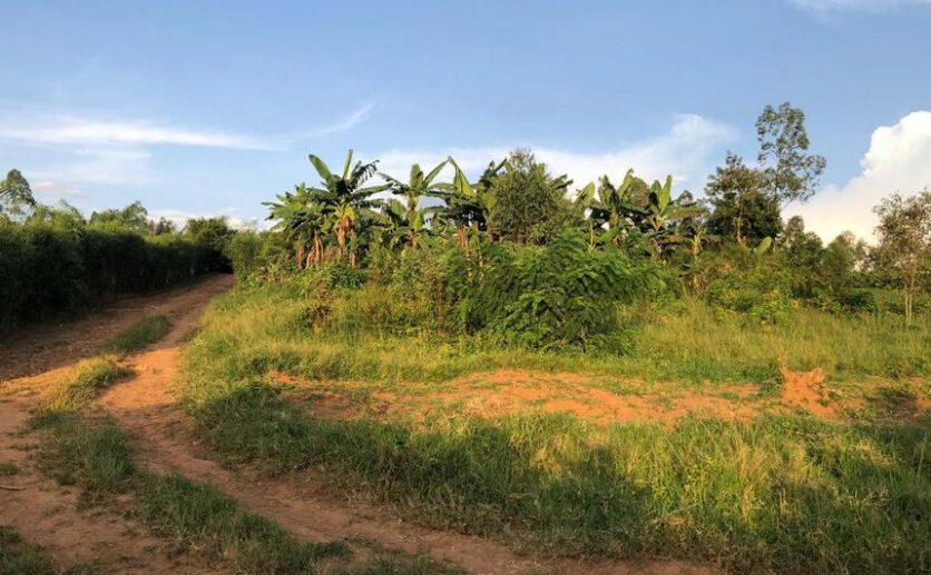 Residential plots for sale in Nyamata Bugesera (6)
