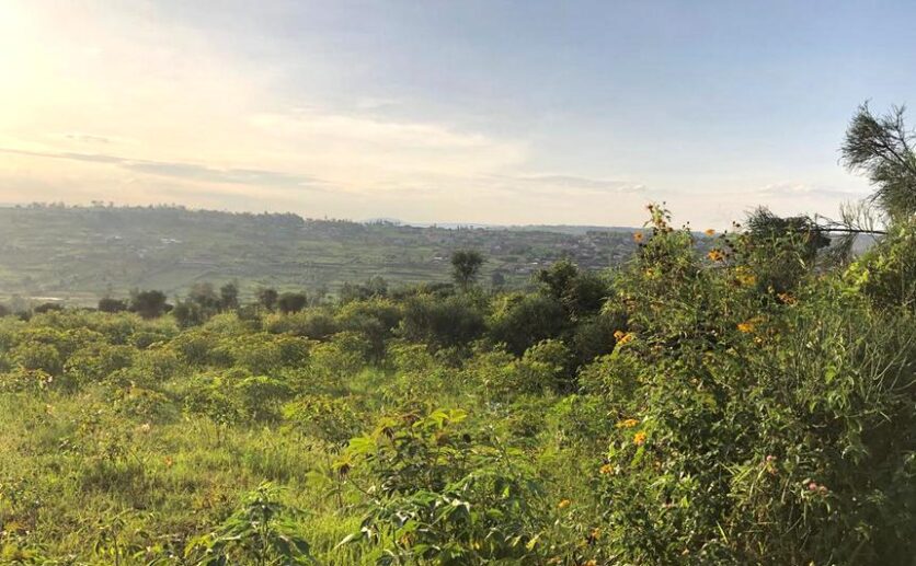 Residential plots for sale in Nyamata Bugesera (8)