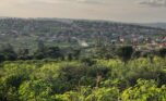 Residential plots for sale in Nyamata Bugesera (9)