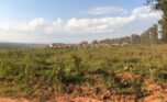 affordable plots for sale in Nyamata Bugesera (11)