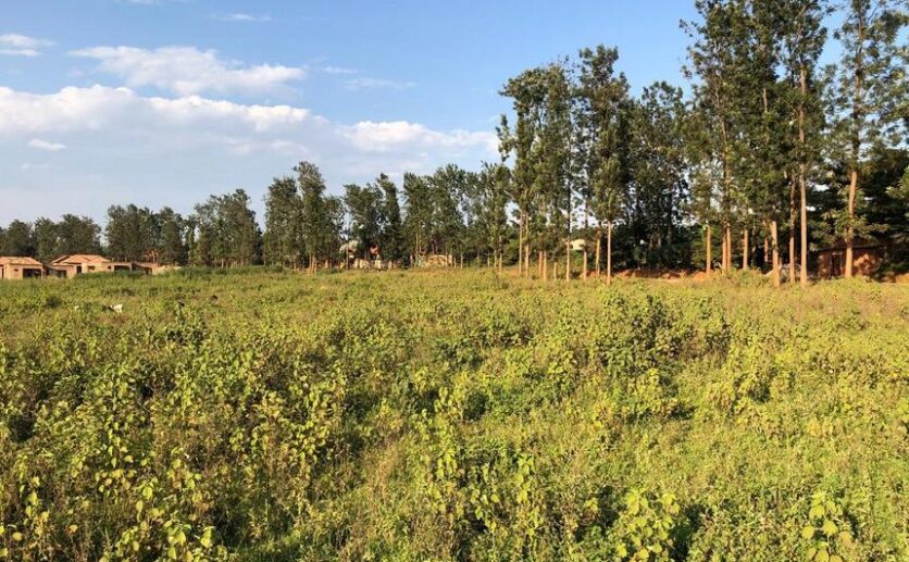affordable plots for sale in Nyamata Bugesera (18)