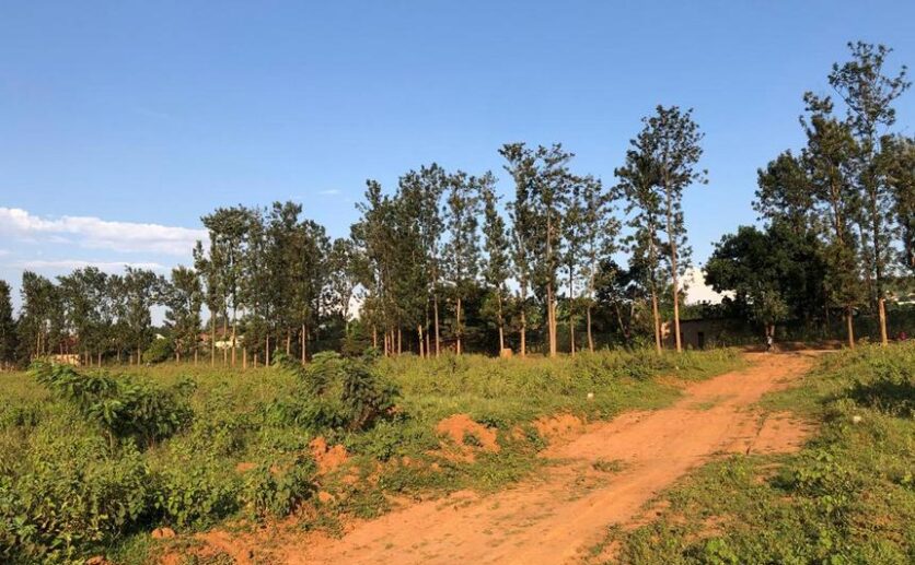 affordable plots for sale in Nyamata Bugesera (20)