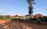 affordable plots for sale in Nyamata Bugesera (6)