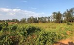 affordable plots for sale in Nyamata Bugesera (7)