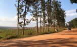 affordable plots for sale in Nyamata Bugesera (8)