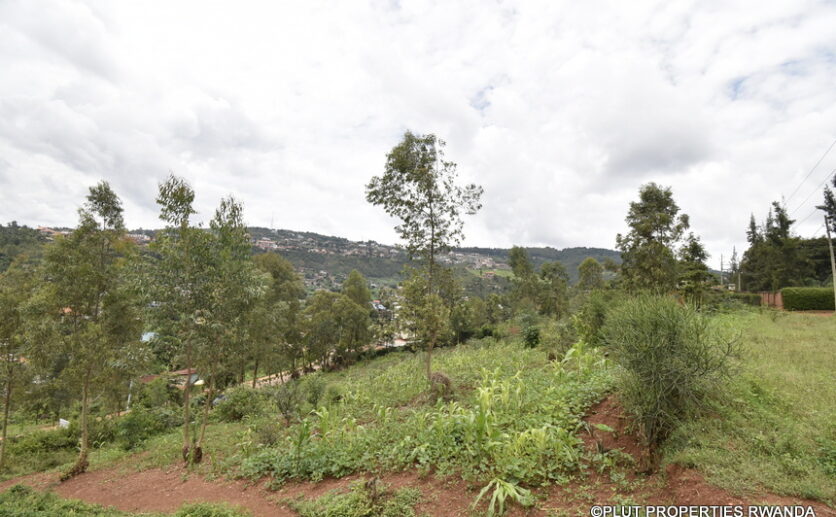 buy land in Rebero (5)