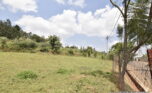 buy land in Rebero (2)