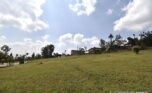 huge plot for sale in Rebero (4)