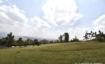 huge plot for sale in Rebero (5)