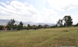 huge plot for sale in Rebero (6)