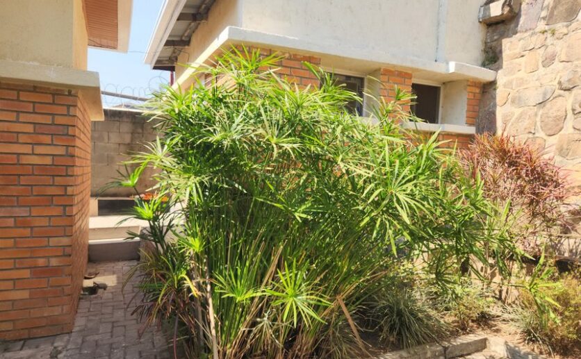 kigali rental nyarutarama plut properties (16)