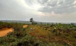 Buy plots in Nyamata Bugesera plut properties (2)