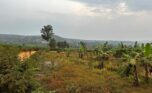 Buy plots in Nyamata Bugesera plut properties (3)