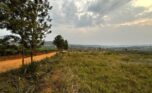 Buy plots in Nyamata Bugesera plut properties (8)