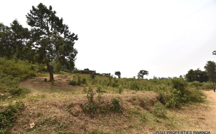 Huge plot for sale in Bugesera plut properties (2)