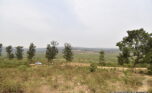 Huge plot for sale in Bugesera plut properties (4)