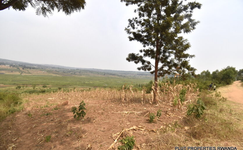 Huge plot for sale in Bugesera plut properties (5)