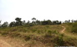 Huge plot for sale in Bugesera plut properties (6)