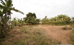 Land for sale in Bugesera plut properties 2 (5)
