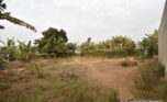 Land for sale in Bugesera plut properties 2 (6)