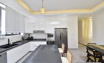 The fountain apartments for rent plut properties 2 (4)