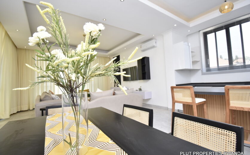 The fountain apartments for rent plut properties 2 (6)