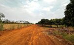 large plots for sale in Nyamata Bugesera plut properties (2)