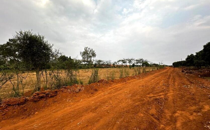 large plots for sale in Nyamata Bugesera plut properties (3)