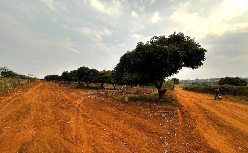 large plots for sale in Nyamata Bugesera plut properties (4)