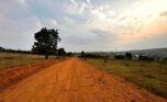 large plots for sale in Nyamata Bugesera plut properties (6)