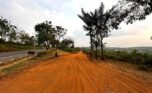 large plots for sale in Nyarutarama Bugesera plut properties (8)