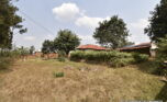 Buy land in Kicukiro plut properties (1)