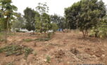 Buy plot in Rusororo Kigali (3)