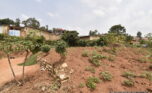 Commercial Land for sale in Gisozi plut properties (6)