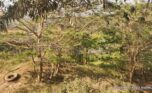 Nyarutarama Land for sale plut properties (4)